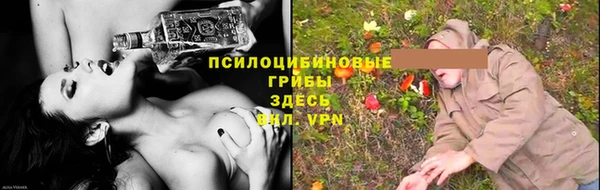 бошки Белокуриха