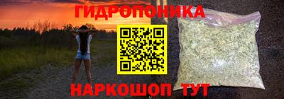 ГАЛЛЮЦИНОГЕННЫЕ ГРИБЫ Балахна