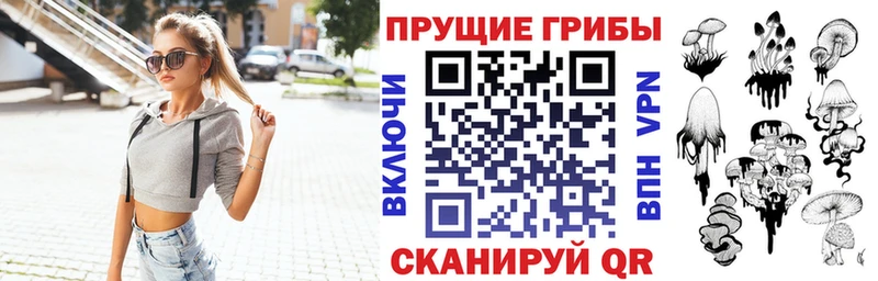 Псилоцибиновые грибы Cubensis  Бугульма 
