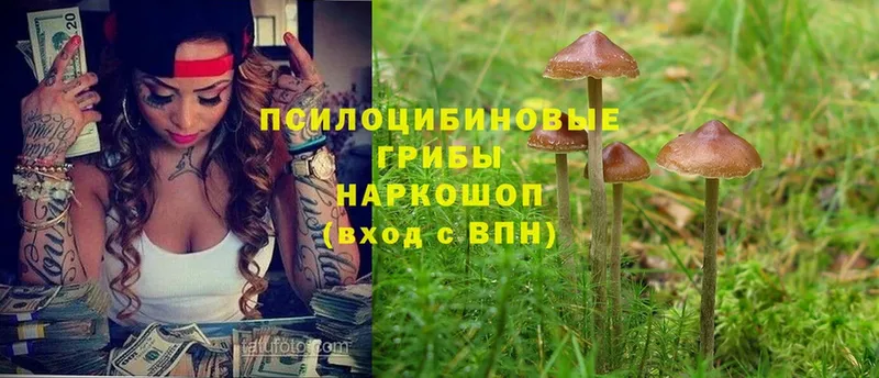 Галлюциногенные грибы мухоморы  Бугульма 