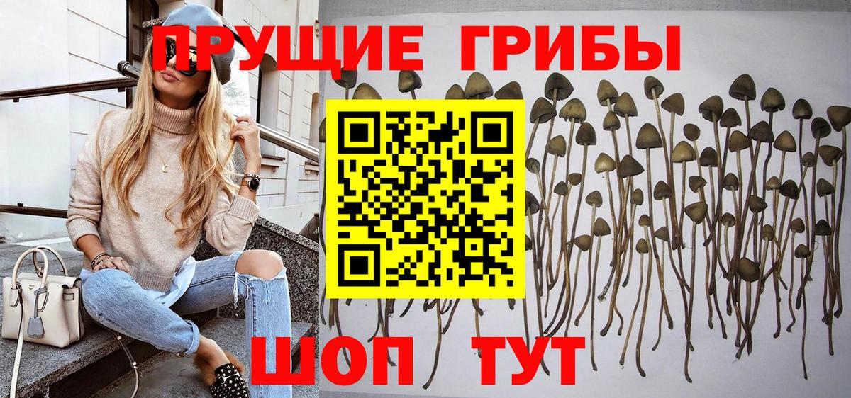 ГАШ Бугульма