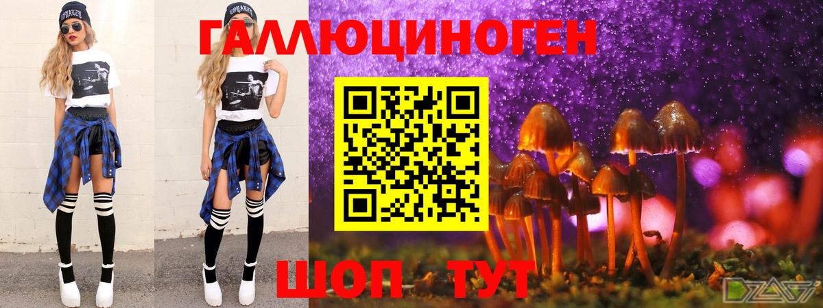 Псилоцибиновые грибы MAGIC MUSHROOMS  где продают наркотики  Бугульма  Псилоцибиновые грибы GOLDEN TEACHER  Вход с VPN 