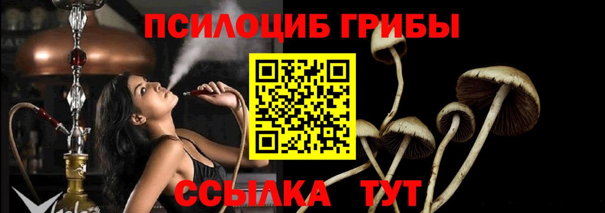 Псилоцибиновые грибы MAGIC MUSHROOMS Бугульма